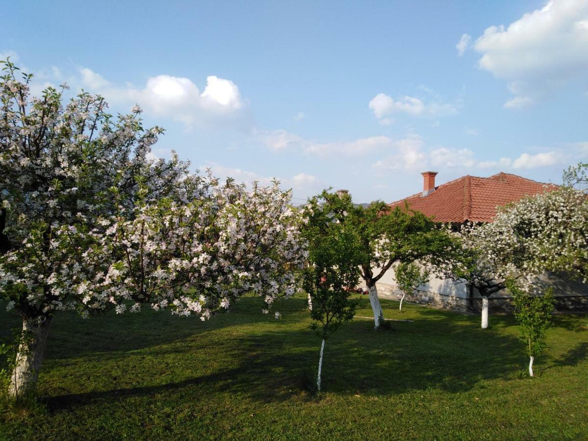Mala Basta Apartment Bajina Basta Exterior foto